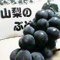 image/knet-2005-09-20T19:30:57-1.jpg